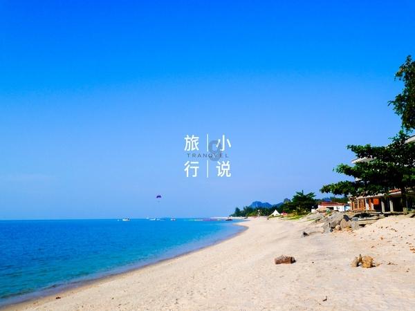 小猫钓鱼正版下载中文版