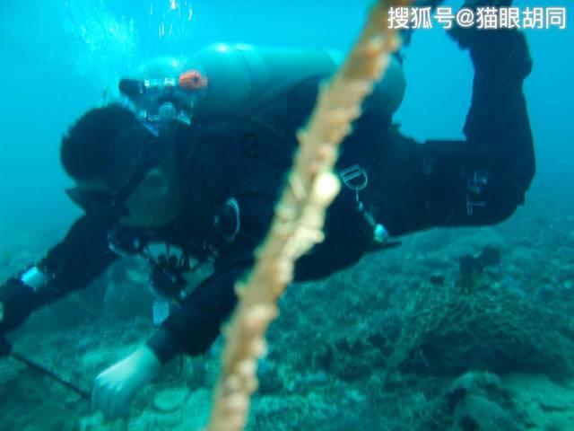 果冻分裂