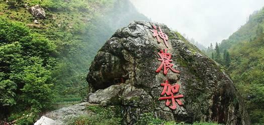 厨房里的大家电也有“保质期”! 近60%年轻消费者选择以旧换新省钱省心